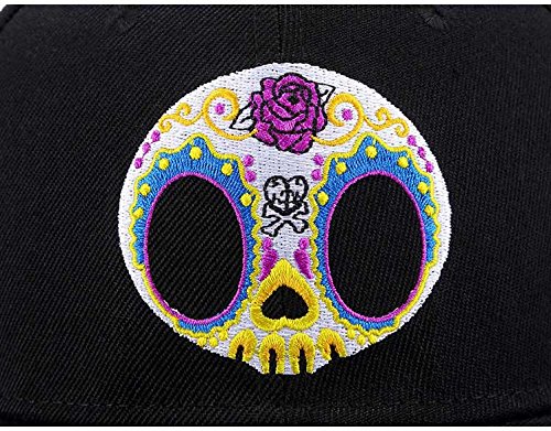 One Piece Character Cosplay Snapback Hat, Skull Skeleton Baseball Cap, One Piece Black, One Size