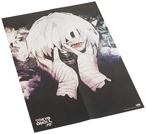 Tokyo Ghoul: Re Complete Box Set: Includes Vols. 1-16 with Premium [Book]